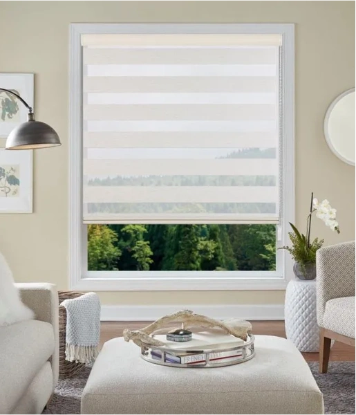 Affordable Double Roller Duplex Blinds
