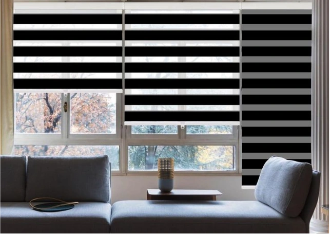 Complete blackout zebra blinds