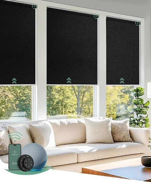 Smart Home Automation Blinds