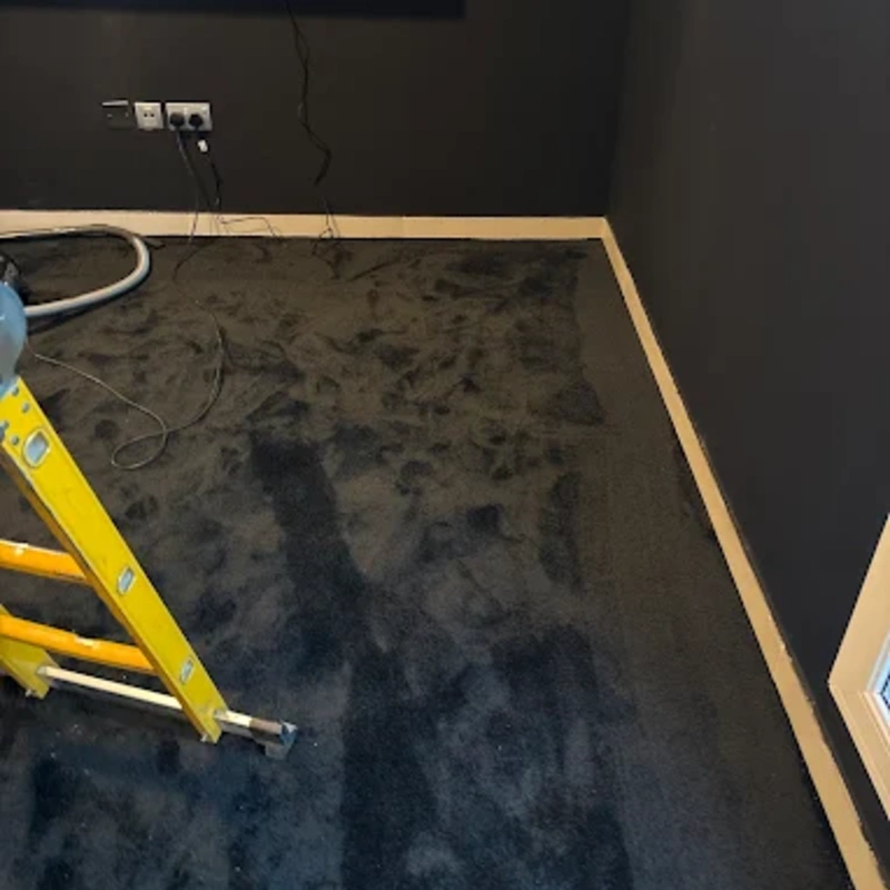 Best Carpets