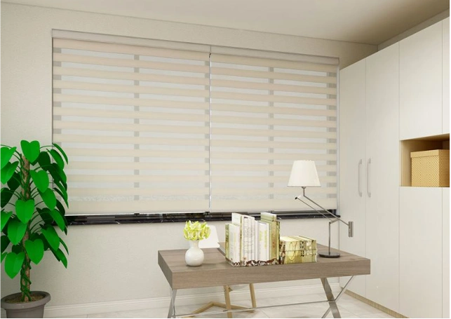 Day Night Zebra Blinds