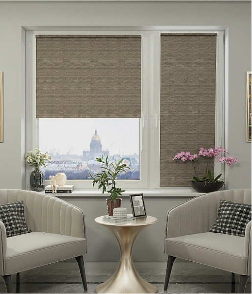 Budget-friendly double roller duplex blinds
