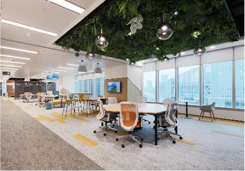 Office design for impressions