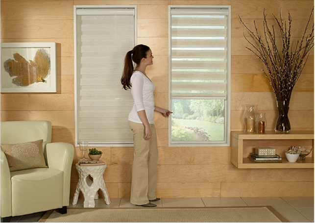 Soft light zebra blinds design