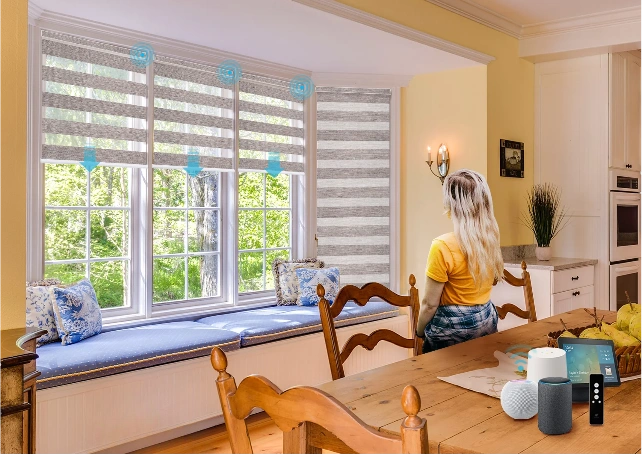 Remote control zebra blinds