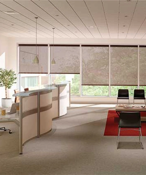 Stylish blinds for reception