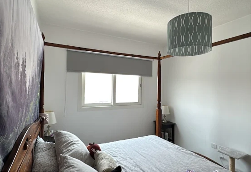 Custom Motorized Blinds Setup