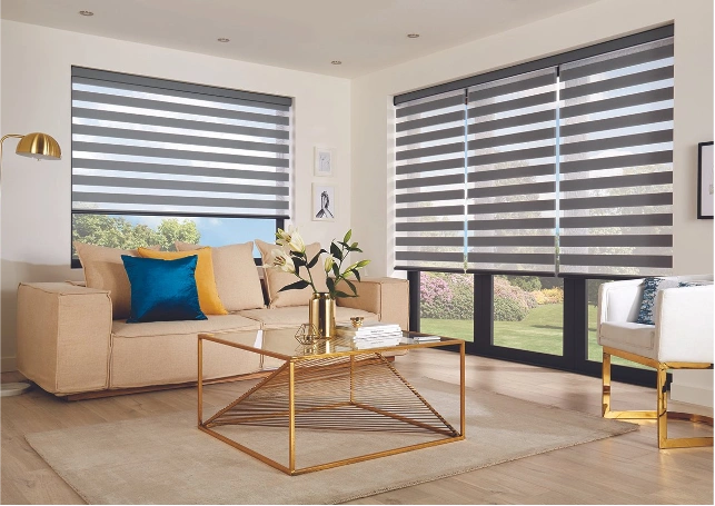 Versatile electric day & night blinds
