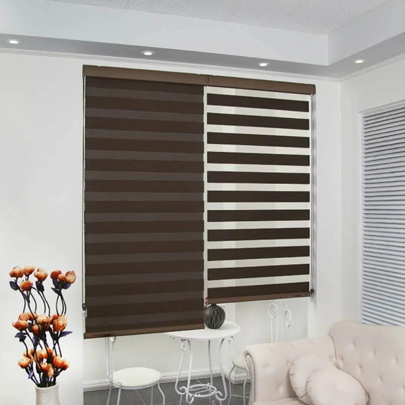 Modern zebra window shades
