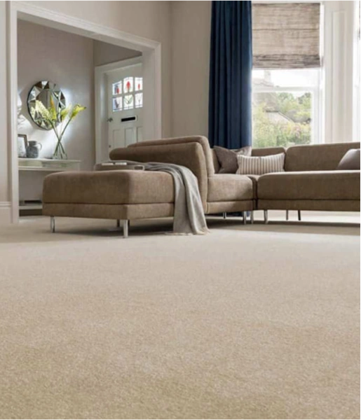 Dubai beige carpet discount
