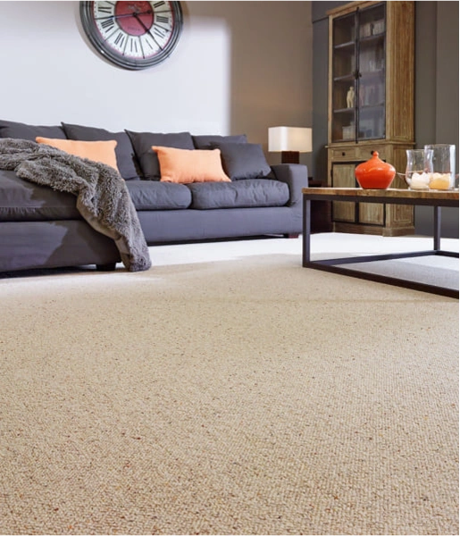 UAE beige carpet promotion