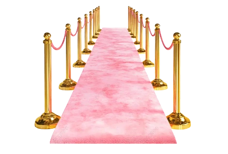 Pink Velvet Carpet Dubai