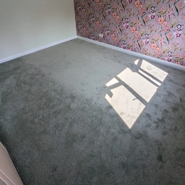 Custom-fit carpet installation service