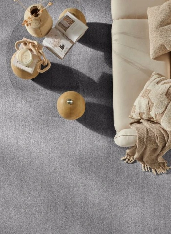 Discounted living room carpet design