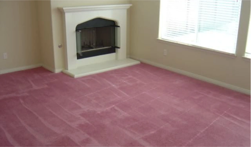 Luxury Pink Carpet Project