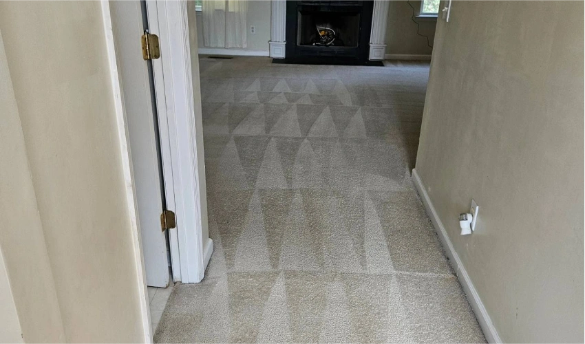 Office Carpet Cleaning Project Dubai
