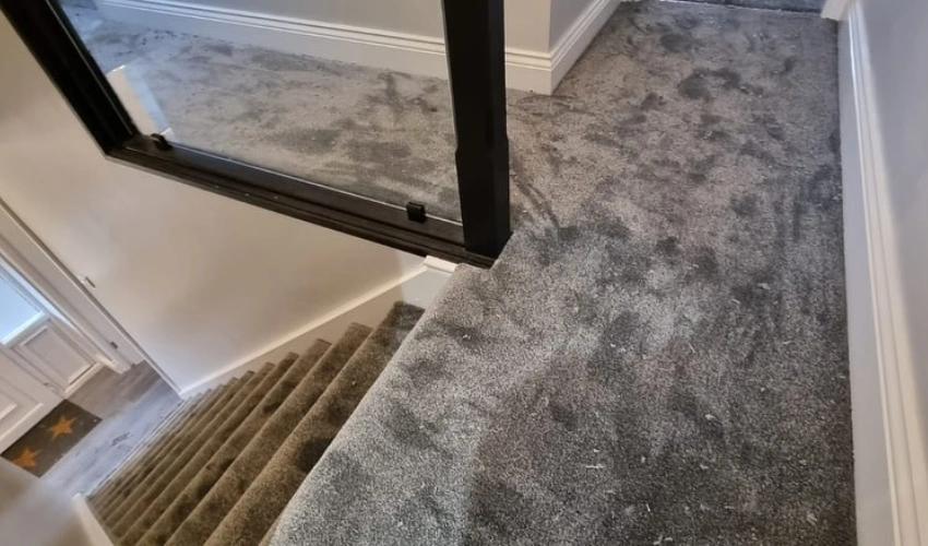 Best wall carpet installation result