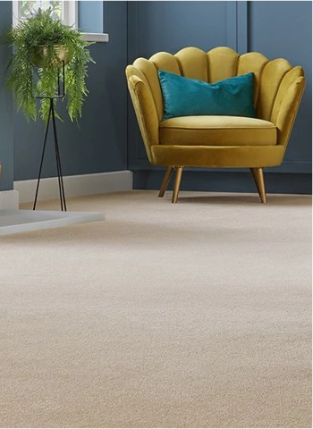Premium beige carpet choice