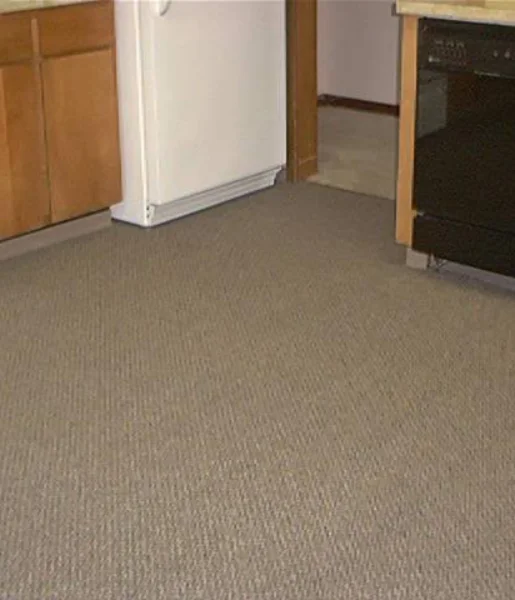 full floor carpets