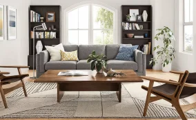 Modern sofa with wooden table