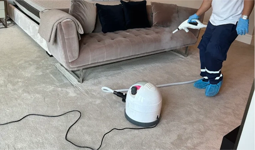 deep cleaned carpet texture view