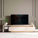 Roma TV Unit