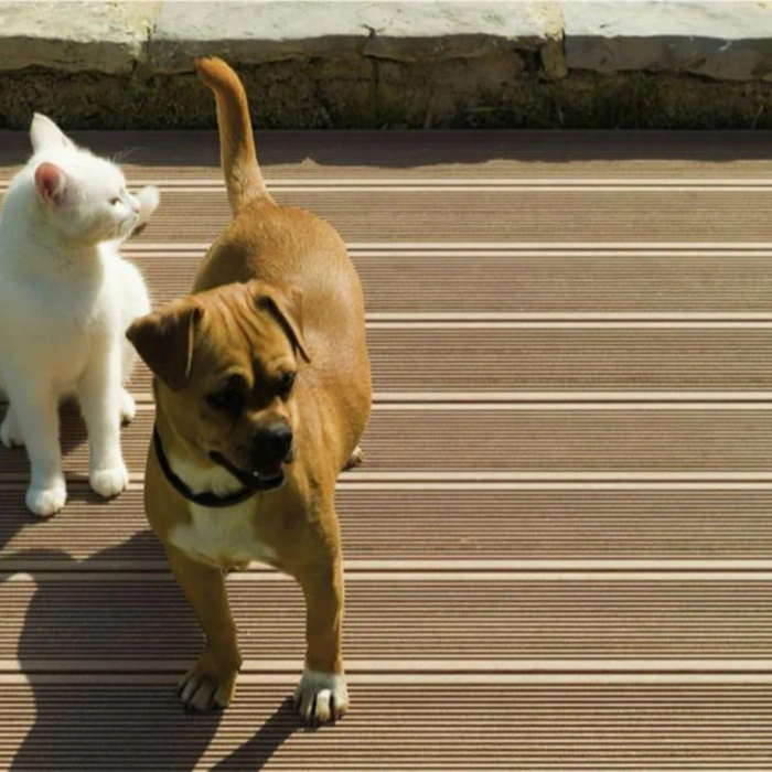 Waterproof Laminate Wooden Floor - Image 3