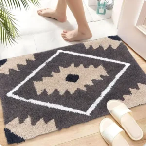 Absorbent Front Door Mat