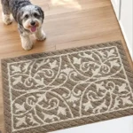 Dexi Door Mat