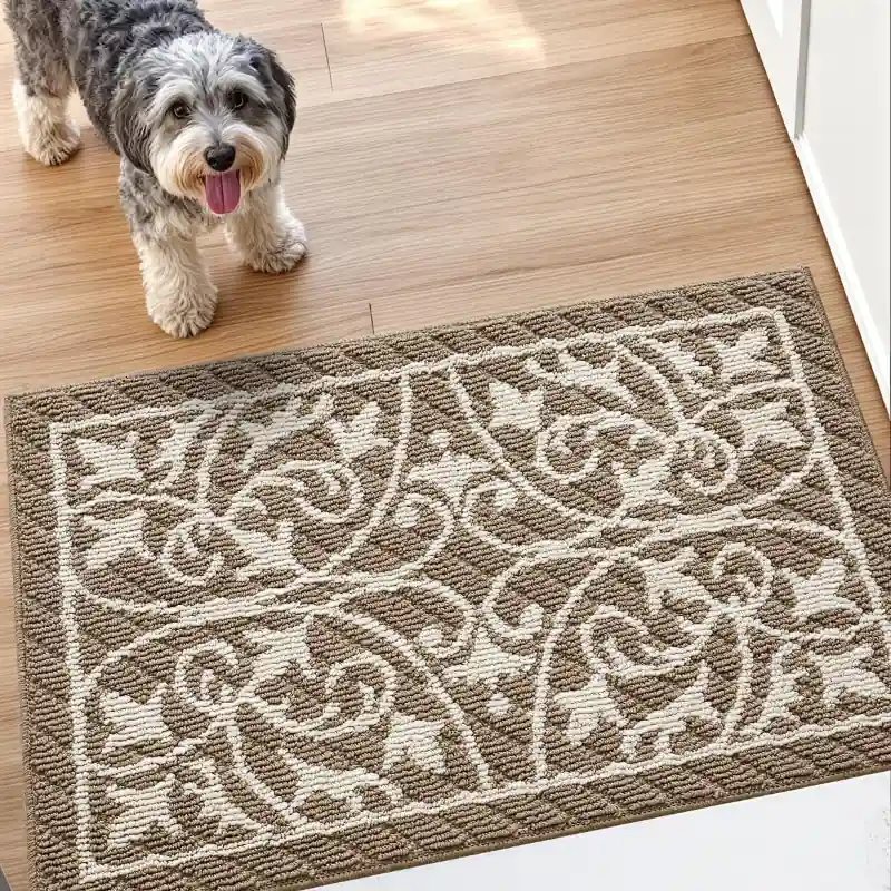 Dexi Door Mat