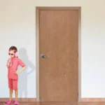 Plywood Door