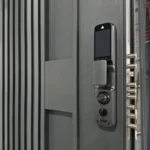 luxury home entrance door detail