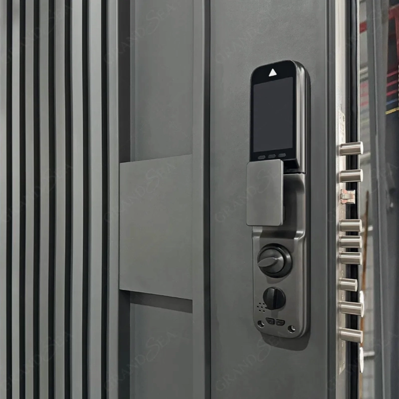 luxury home entrance door detail